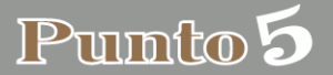 Punto 5